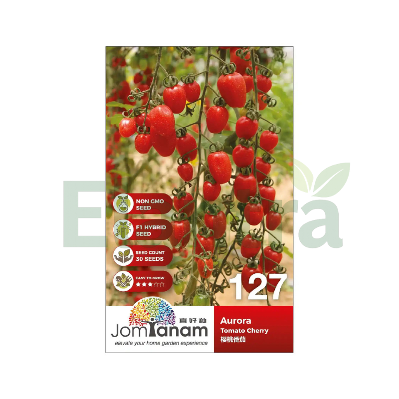 127 TOMATO CHERRY